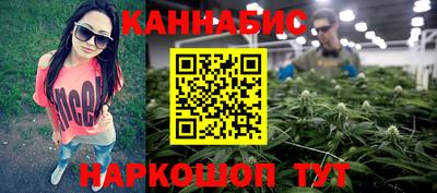 индика Краснознаменск
