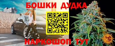 индика Краснознаменск