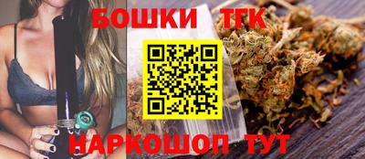 индика Краснознаменск