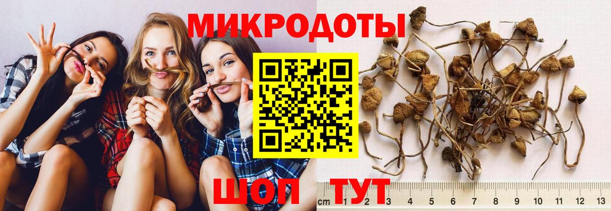 Меф мяу мяу Карачаевск
